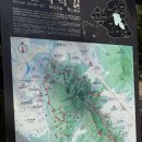 안산자락길 숲속카페 | 서울 벚꽃명소 서대문구 안산 자락길 가는법 안내도 주차
