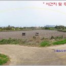 성산읍사무소 이미지