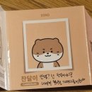 필스돈 이미지
