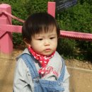 다경농장 이미지