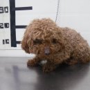 북면우체국 이미지