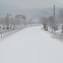 중앙-27 이미지