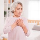 당당한 삶 이미지