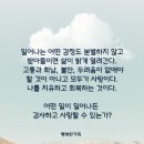 어떤 일에도 감사하고 사랑할 수 있는가? 이미지