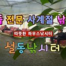 역돔낚시터 이미지