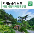 [초특가 16,900원] 6월14일(일) ▶제천 박달재*옛길~배론성지~전통시장 이미지