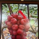 직지농장 이미지