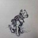 도고(DOGO) 이미지
