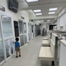 안산조이동물병원 한방치료(침치료)후기