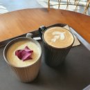 올라알파카 카페 이미지