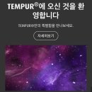 잔.S | [템퍼베개 내돈내산] 목디스크에 진심인 내가 드디어 꿀잠 잔 후기 (S사이즈 추천) 목편한베개 거북목베게