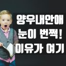 진천양우공인중개사사무소 | 급"광혜원 양우내안애아파트" 33평 25평 정말 좋은:월세 급매매 남향 가운데 30평대 진천