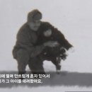 아일라 이미지