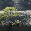 금강로하스 해피로드(1) 이미지