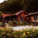 정선통나무펜션 이미지