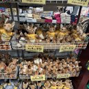 와동책읽는방작은도서관 | [2025호주] 8. 멜버른 day 1,2 (시드니 숙소 짧은 후기, 멜버른 공항 Skybus, 퀸 빅토리아 마켓...