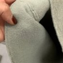댄디라인