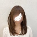 직모 중단발 레이어드컷 분위기 확 바뀐 당근 헤어모델 후기