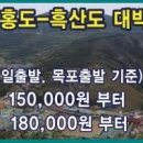 개미여행사
