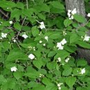 동대산 주차장 이미지