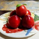 오형제보석 이미지