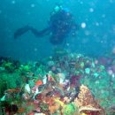 사진촬영(기초) 이미지