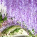 이충주공1(반지마을1단지) 이미지