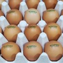 우리계란마트 이미지