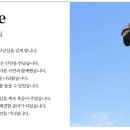 손해사정행정사사무소 이미지