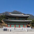 왕산목장 이미지