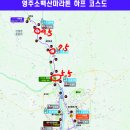 영주 | 2026 영주 소백산 마라톤 하프 상세 후기(+꿀팁)