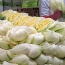 김광수 농장 이미지