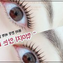 청주 가경동 속눈썹 전문 샵에서 받은 속눈썹 연장 후기, 이렇게 좋을 줄 몰랐어요!