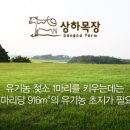 상하그린목장 이미지