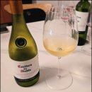 디아블로 | 고물가시대 홈플러스 가성비 화이트 와인 델 디아블로 샤도네이 맛있는 후기 및 가격