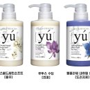 도그비잉코리아
