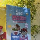 송천마을 정자 | 요아정 반값데이 (4/29-4/30) 참여 매장리스트 | 허니 청포도의 정석, 초코 생딸기의 정석 50% 할인
