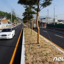 송청택지 소나무가로수 이미지