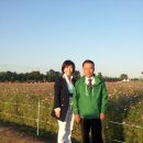 태평2동 주민자치센터 이미지