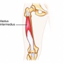 SNPE 바른자세 척추운동 이미지
