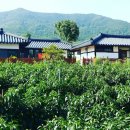 ‘오늘N’ 텐트 세탁 전문가 윤지태, 화성 에이스텐트세탁 가게 위치 택배 주문 세탁 수선 발수 리폼...