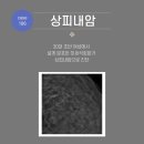 박근준유외과의원 이미지