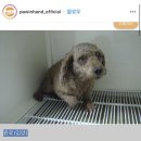 포인핸드 이미지