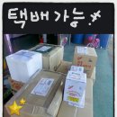 대우토굴새우젓