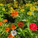 정원펜션민박 이미지