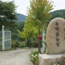 동막골농원꾸지뽕