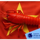 수산물 부적합 안내 – 베트남 냉동자숙 닭새우 (4월 21일 기준) 이미지