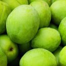 153 합기도 이미지