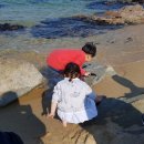 상경목장 이미지