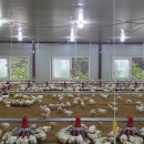 무량축산 이미지